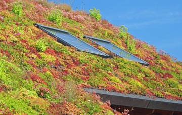 Curdridge living roof systems